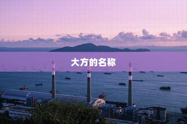 大方的名称