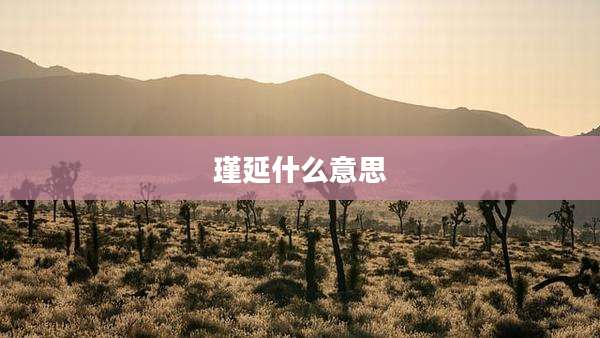 瑾延什么意思