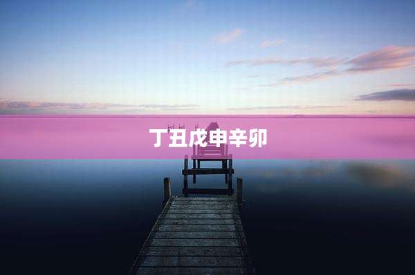 丁丑戊申辛卯