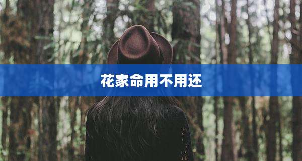 花家命用不用还