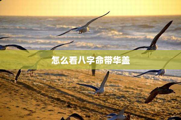 怎么看八字命带华盖