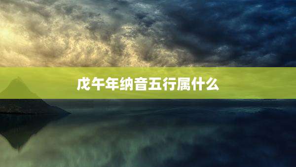 戊午年纳音五行属什么