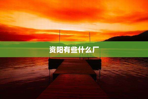 资阳有些什么厂
