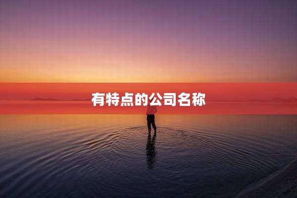 有特点的公司名称