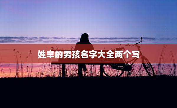 姓丰的男孩名字大全两个写