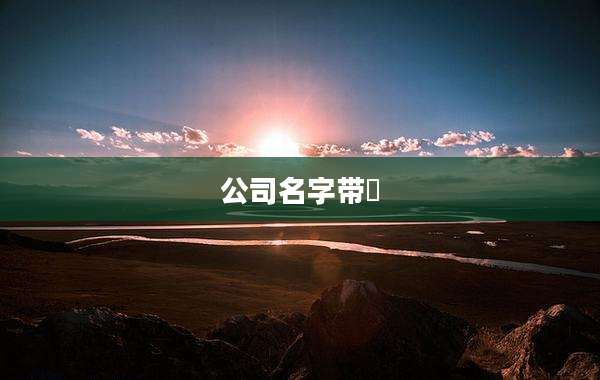 公司名字带昇