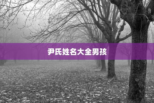 尹氏姓名大全男孩