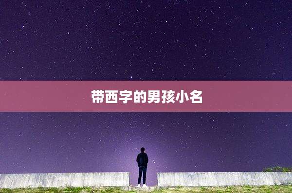带西字的男孩小名
