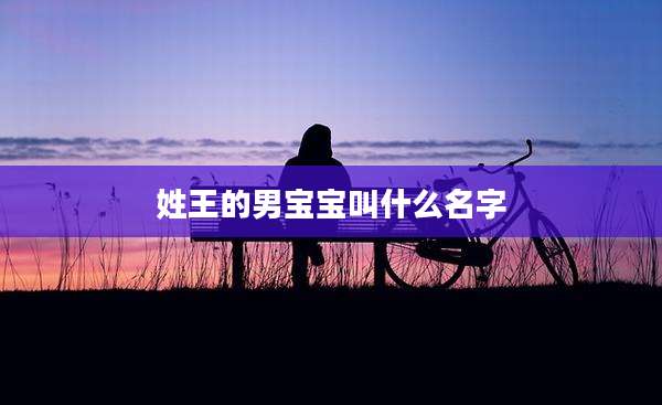 姓王的男宝宝叫什么名字