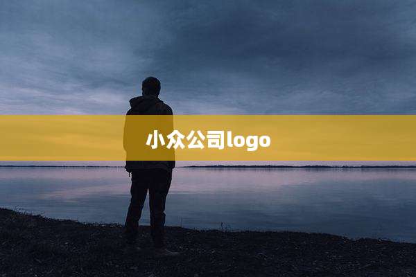 小众公司logo