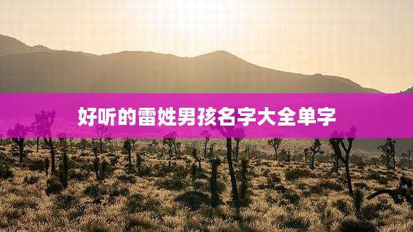 好听的雷姓男孩名字大全单字