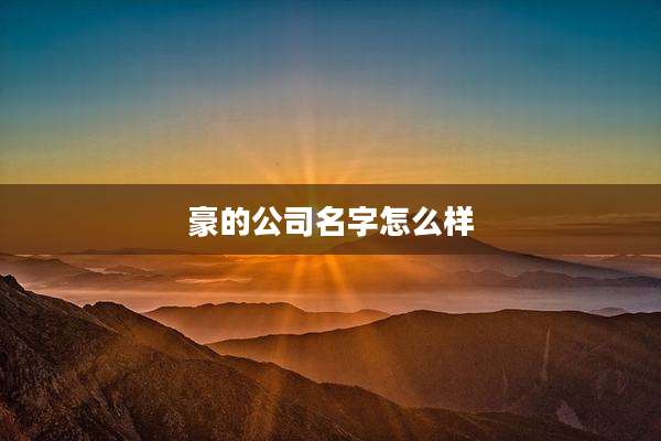 豪的公司名字怎么样