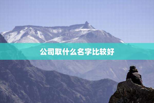 公司取什么名字比较好