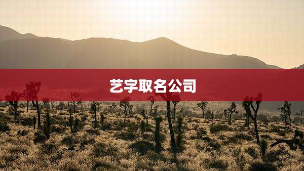 艺字取名公司