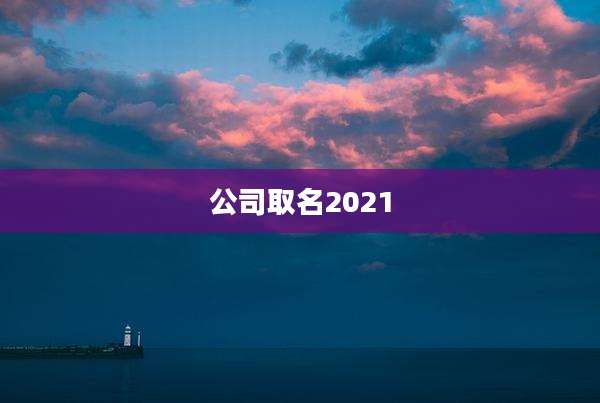 公司取名2021