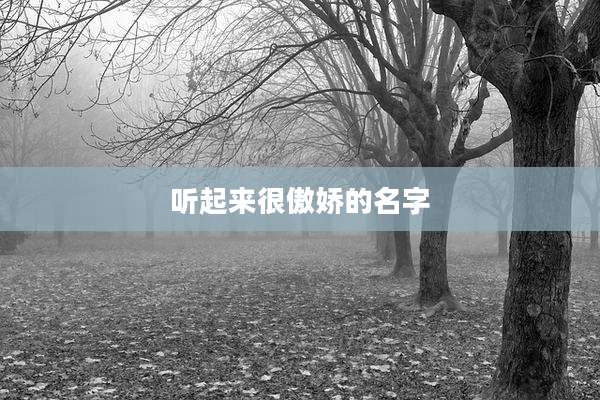 听起来很傲娇的名字