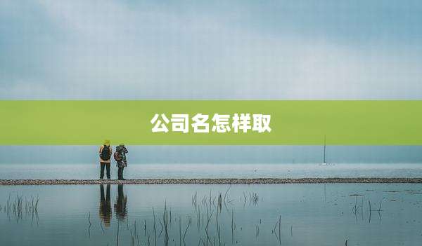 公司名怎样取
