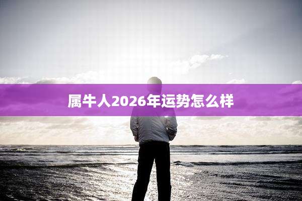 属牛人2026年运势怎么样