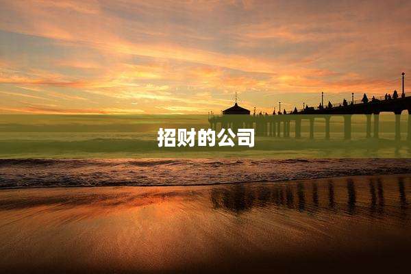 招财的公司