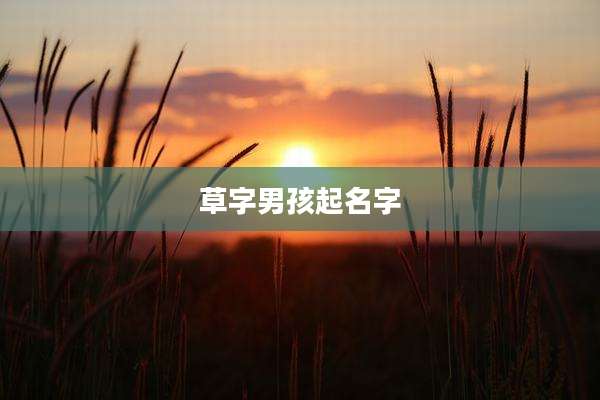 草字男孩起名字
