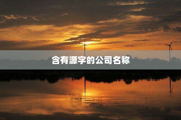 含有源字的公司名称
