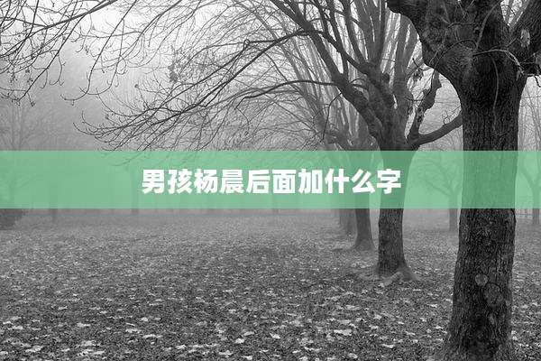 男孩杨晨后面加什么字