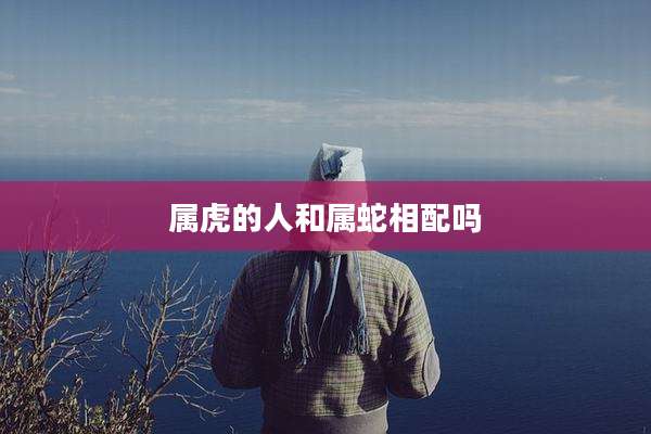 属虎的人和属蛇相配吗