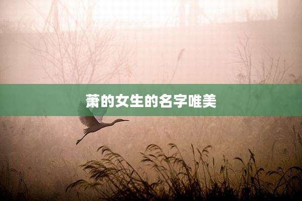 萧的女生的名字唯美