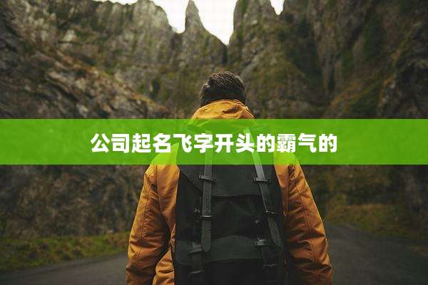 公司起名飞字开头的霸气的