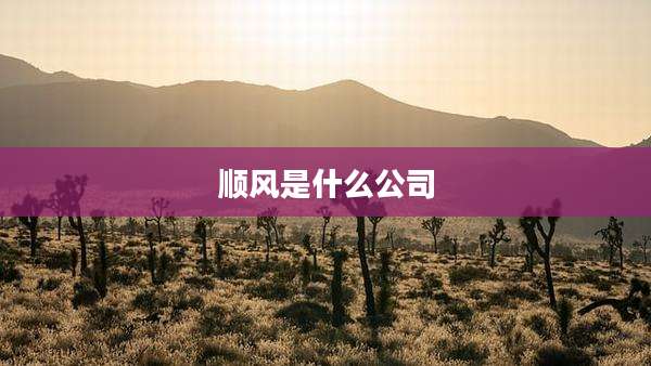 顺风是什么公司