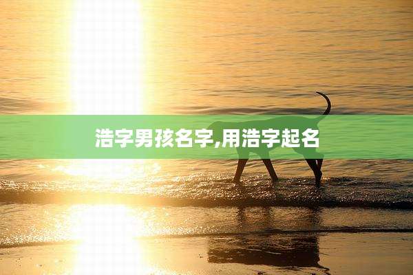 浩字男孩名字,用浩字起名
