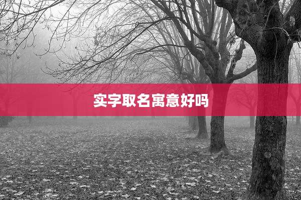 实字取名寓意好吗
