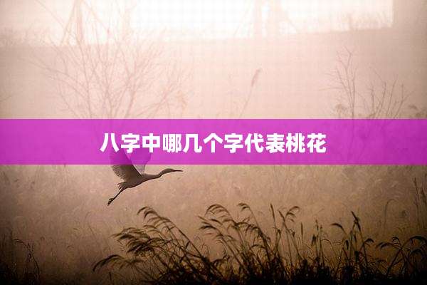 八字中哪几个字代表桃花