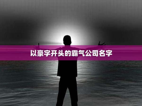 以豪字开头的霸气公司名字