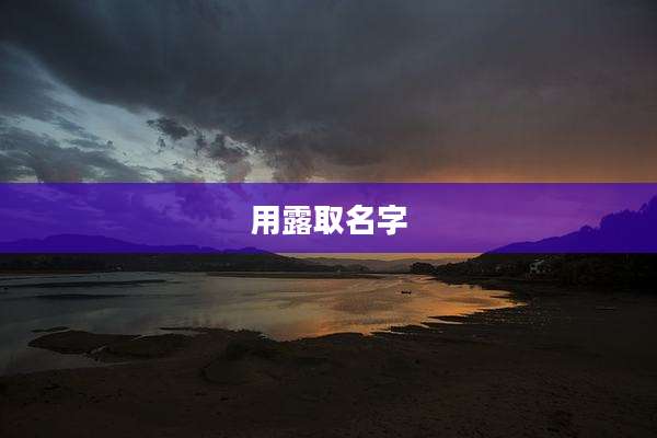用露取名字
