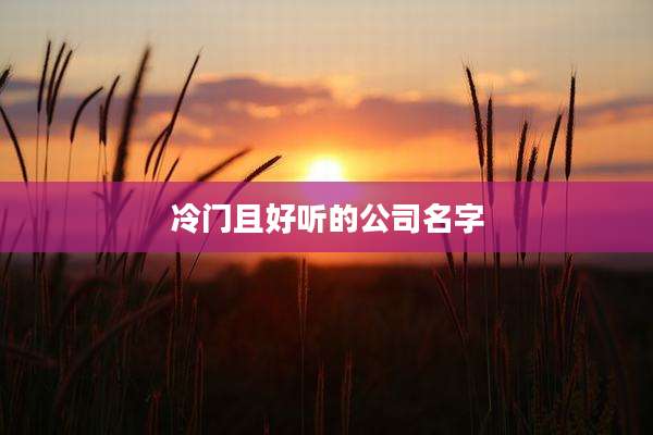 冷门且好听的公司名字