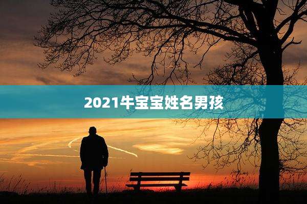 2021牛宝宝姓名男孩
