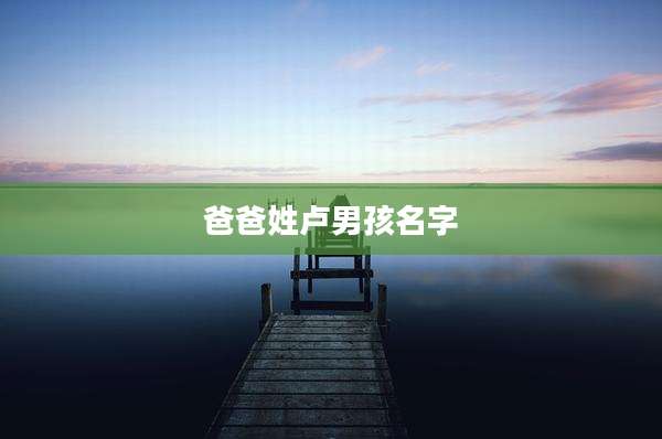 爸爸姓卢男孩名字