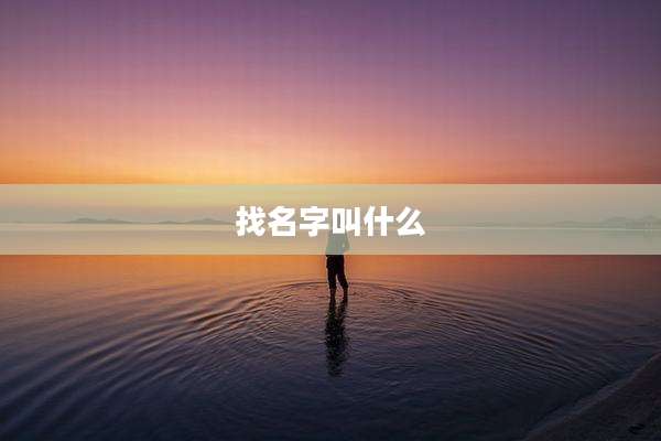 找名字叫什么