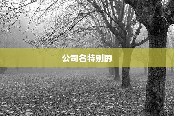 公司名特别的
