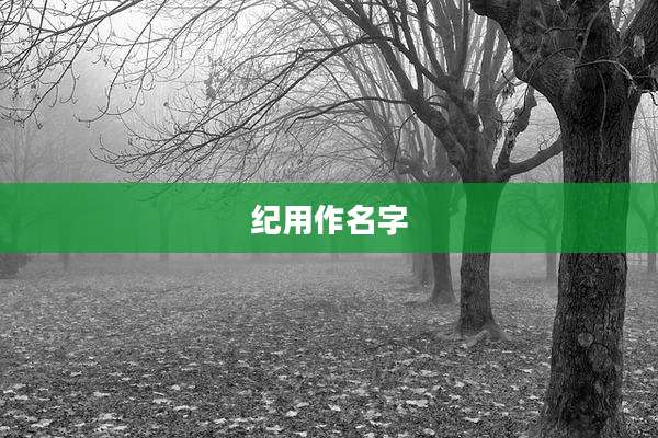 纪用作名字