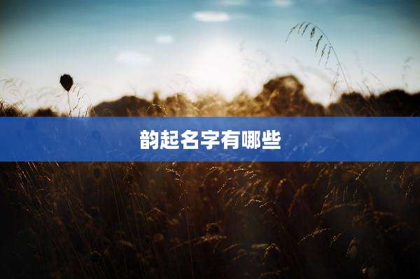 韵起名字有哪些