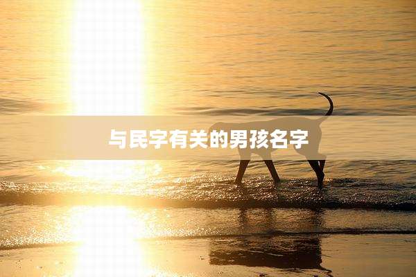 与民字有关的男孩名字
