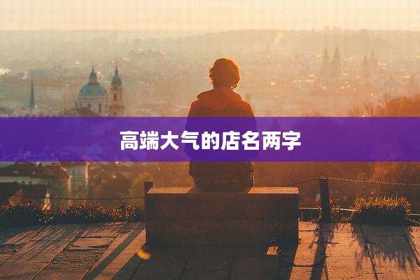 高端大气的店名两字