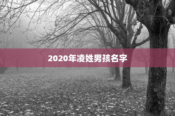 2020年凌姓男孩名字