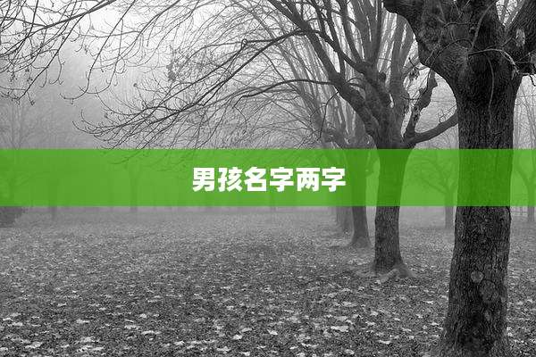 男孩名字两字