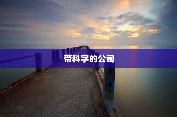 带科字的公司