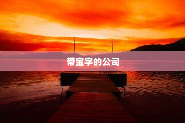 带宝字的公司