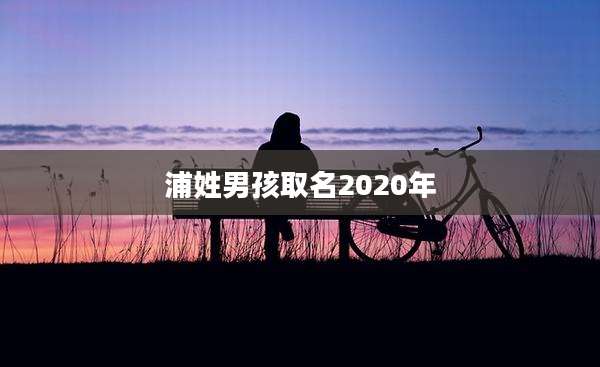 浦姓男孩取名2020年
