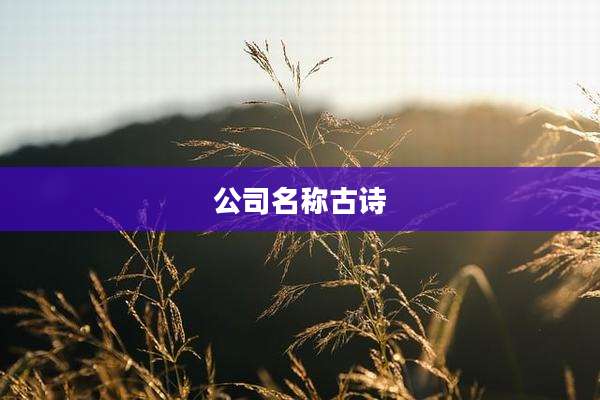 公司名称古诗